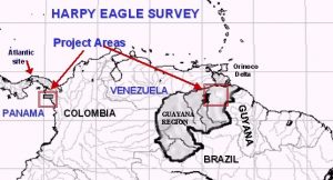 Harpy Eagle Conservation Program founded